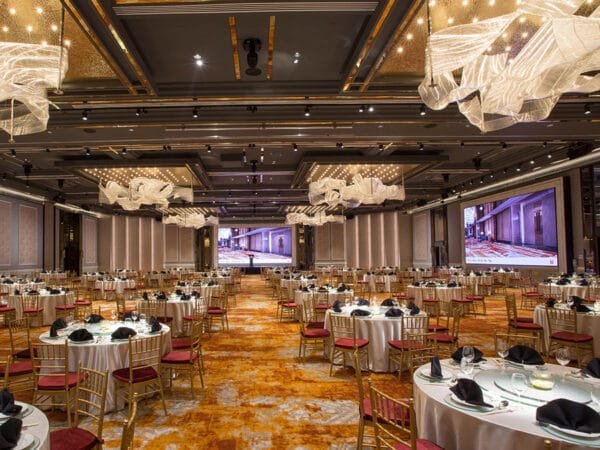 wedding chairs