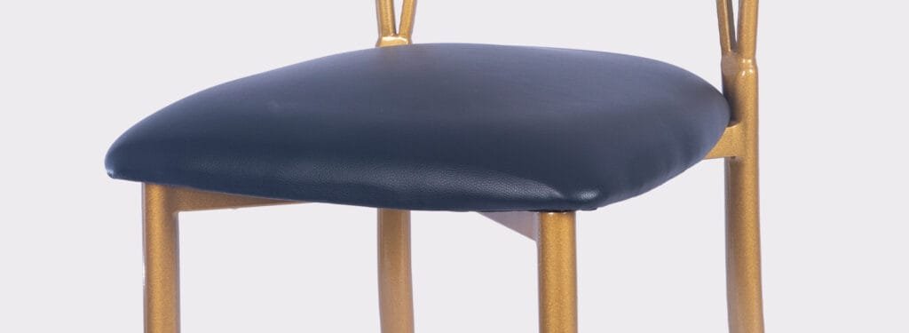 Banquet Iron Chameleon Chair with Soft Seat Bag (4)