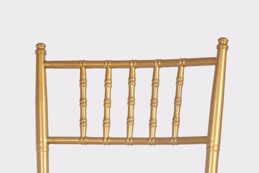 chiavari chairs with cushion (2)