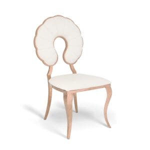 Stainless Steel Shell Chair (4)