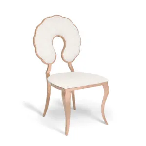 Stainless Steel Shell Chair (4)