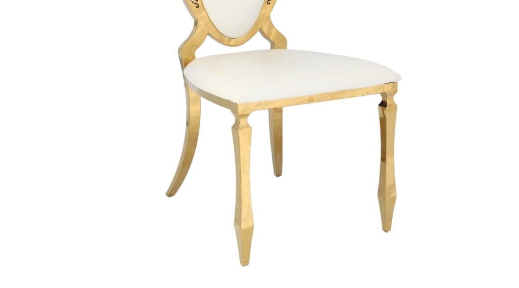 Stainless steel shield chair (1)