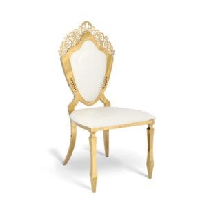 Stainless steel shield chair (3)