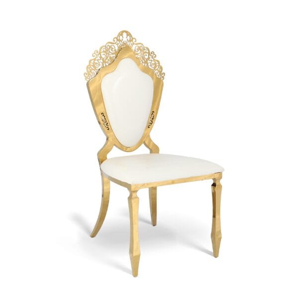 Stainless steel shield chair (3)
