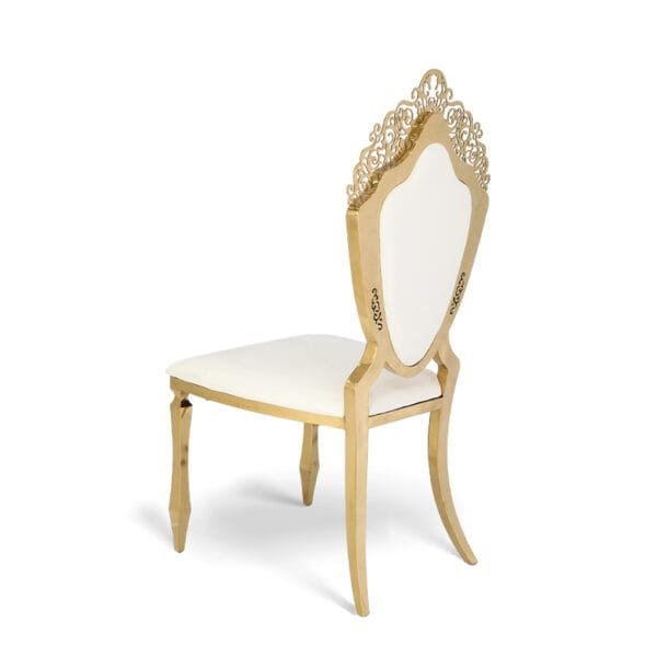 Stainless steel shield chair (1)