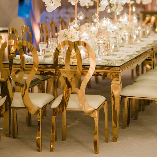 stainless steel chairs (38)