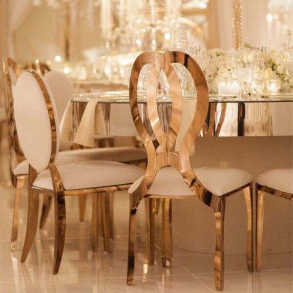 stainless steel chairs (38)