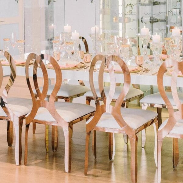 stainless steel chairs (38)