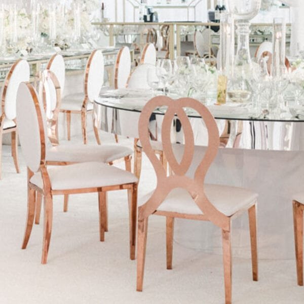 stainless steel chairs (38)