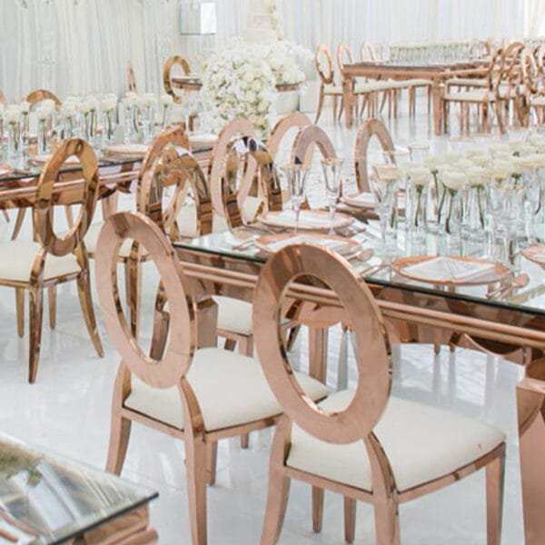 stainless steel chairs (2)