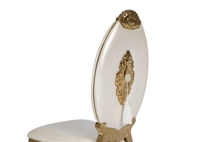 stainless steel oval back chair (2)