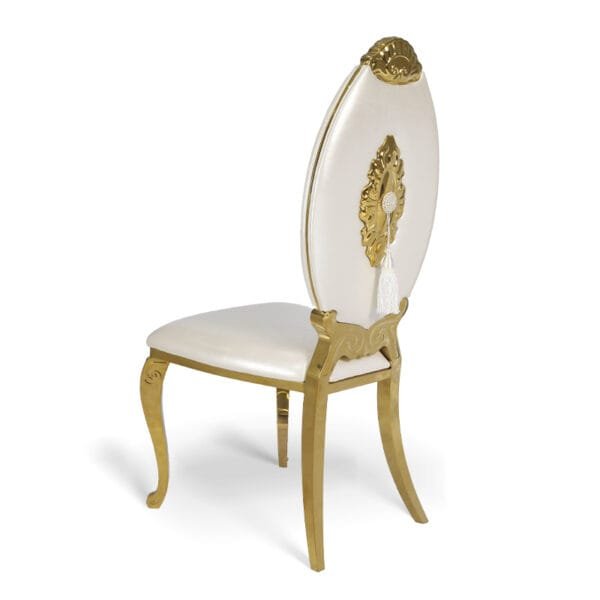 stainless steel oval back chair (2)
