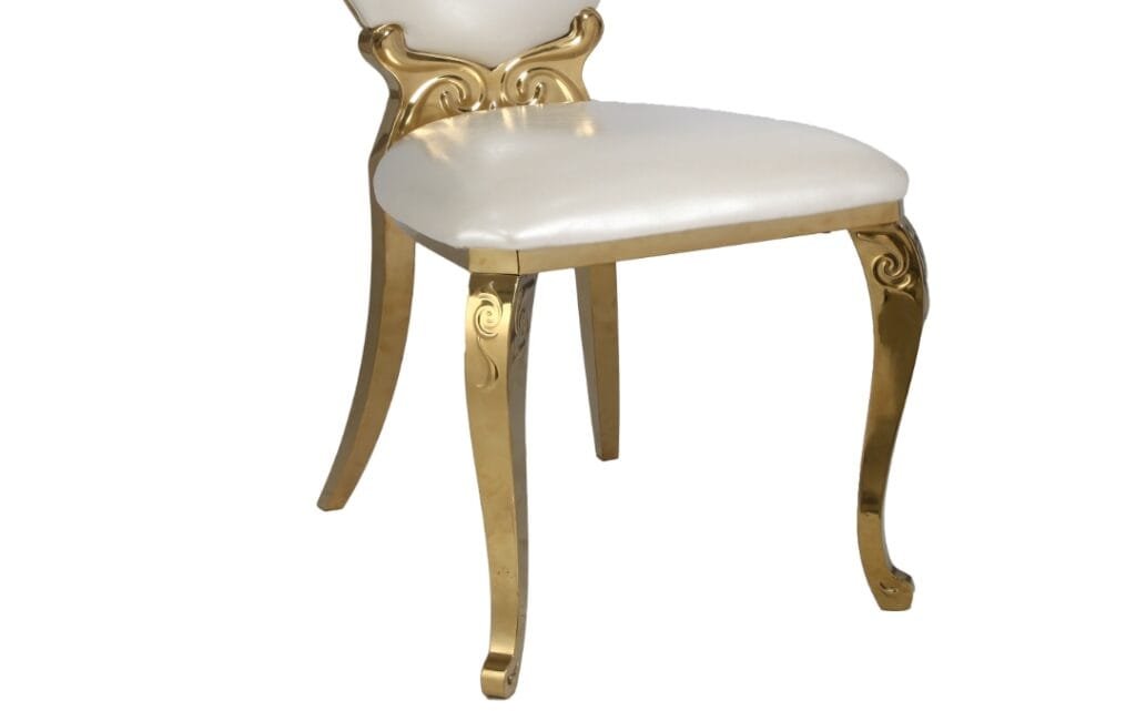stainless steel oval back chair (2)